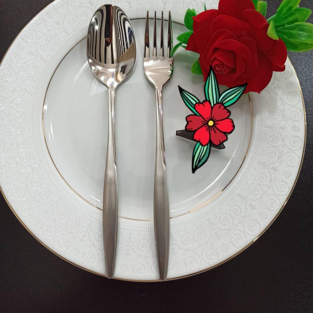 سرویس قاشق و چنگال 24 نفره یونیک مدل الیزای مات سوزنی ، خرید و قیمت سرویس قاشق و چنگال 24 نفره یونیک مدل الیزای مات سوزنی ، کیفیت عالی