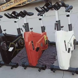 دوچرخه ثابت تایگر اسپرت مدل TS-6618